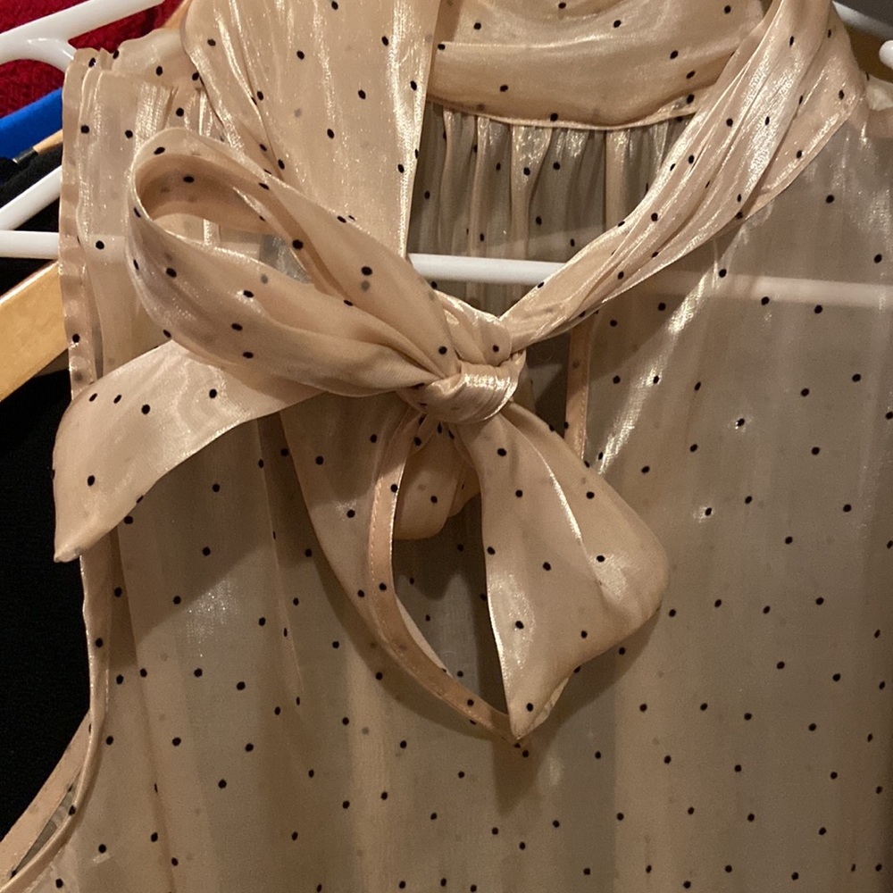 Zara sleeveless tie front top sheer polka dots retro look